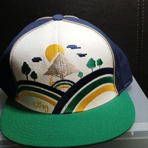 LRG Multicolor Graphic Snapback Hat